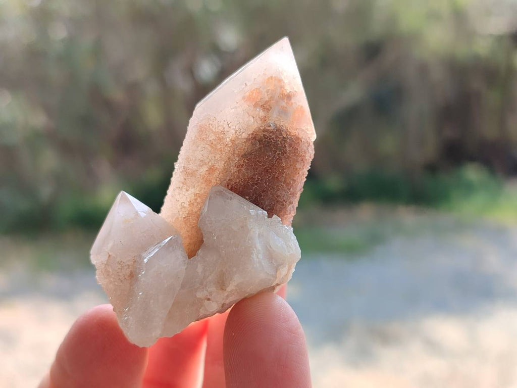 Natural Fairy Spirit Quartz Clusters x 12 From South Africa - Toprock Gemstones and Minerals 