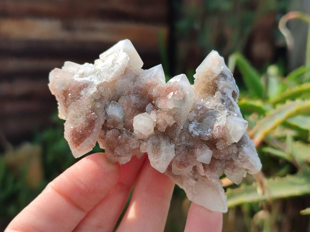 Natural Fairy Spirit Quartz Clusters x 12 From South Africa - Toprock Gemstones and Minerals 