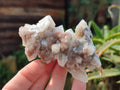 Natural Fairy Spirit Quartz Clusters x 12 From South Africa - Toprock Gemstones and Minerals 