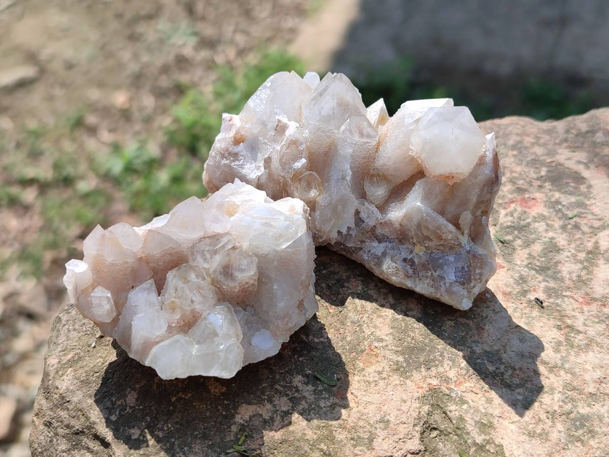 Natural Fairy Spirit Quartz Clusters x 12 From South Africa - Toprock Gemstones and Minerals 