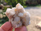 Natural Fairy Spirit Quartz Clusters x 12 From South Africa - Toprock Gemstones and Minerals 