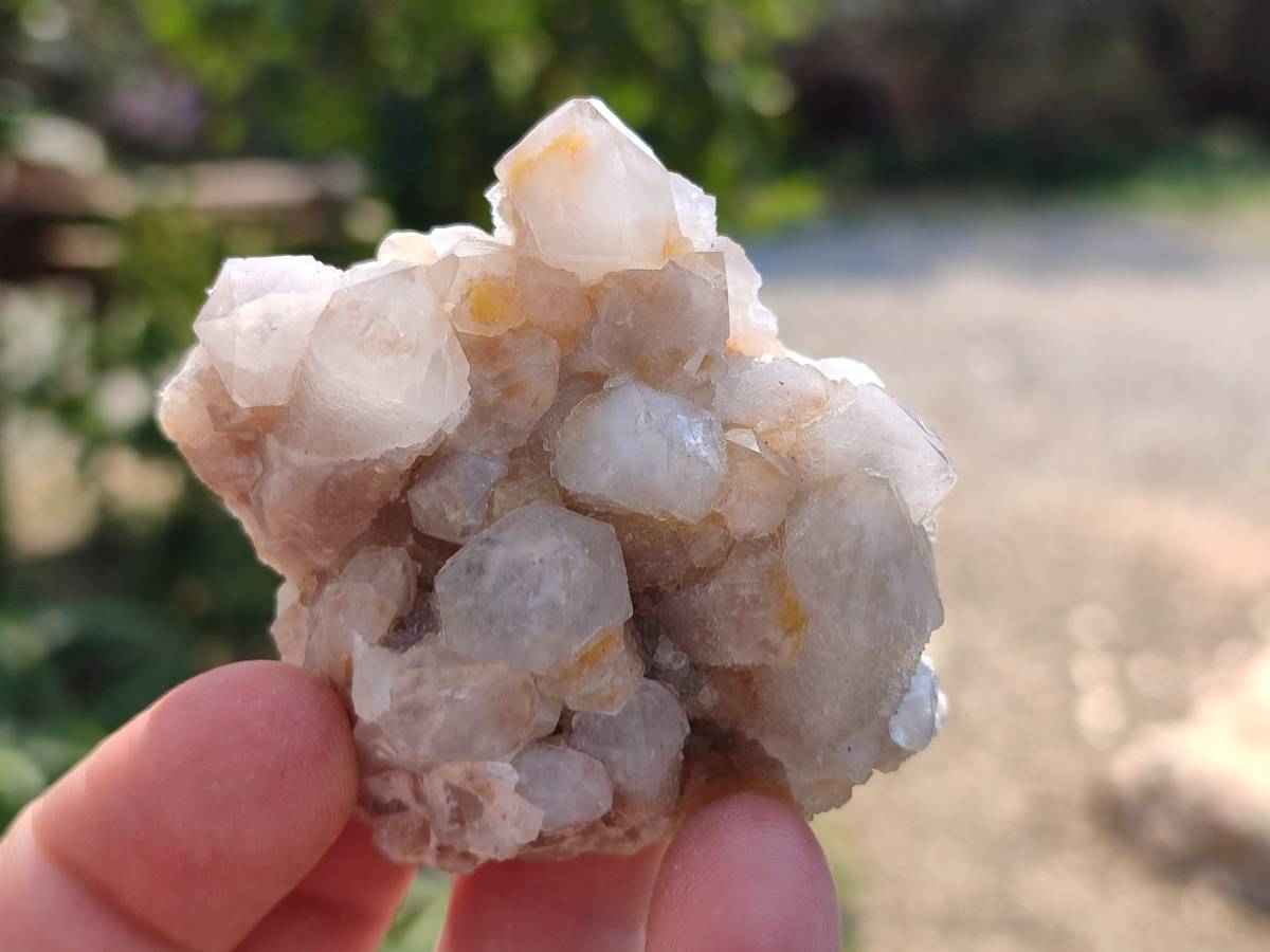 Natural Fairy Spirit Quartz Clusters x 12 From South Africa - Toprock Gemstones and Minerals 