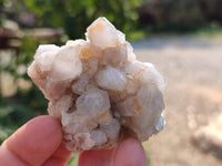 Natural Fairy Spirit Quartz Clusters x 12 From South Africa