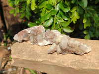 Natural Fairy Spirit Quartz Clusters x 12 From South Africa