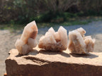 Natural Fairy Spirit Quartz Clusters x 12 From South Africa - Toprock Gemstones and Minerals 
