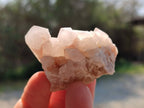 Natural Fairy Spirit Quartz Clusters x 12 From South Africa - Toprock Gemstones and Minerals 