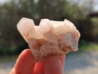 Natural Fairy Spirit Quartz Clusters x 12 From South Africa