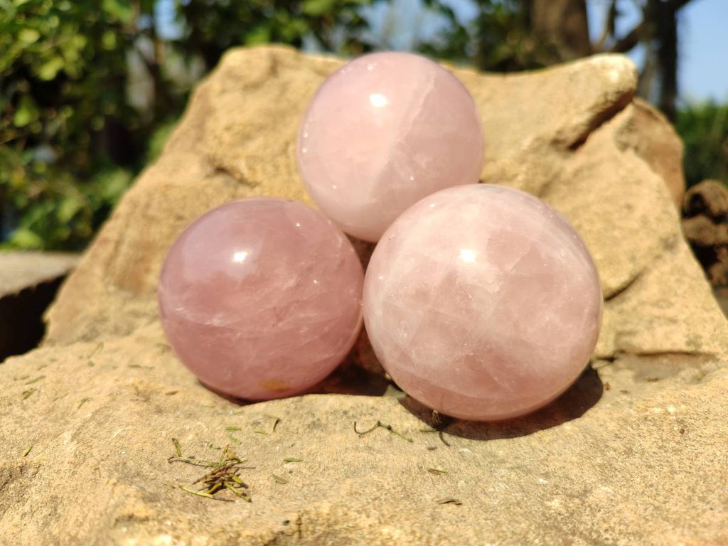 Polished Rose Quartz Spheres x 4 From Madagascar - Toprock Gemstones and Minerals 