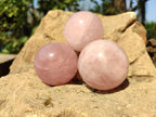 Polished Rose Quartz Spheres x 4 From Madagascar - Toprock Gemstones and Minerals 