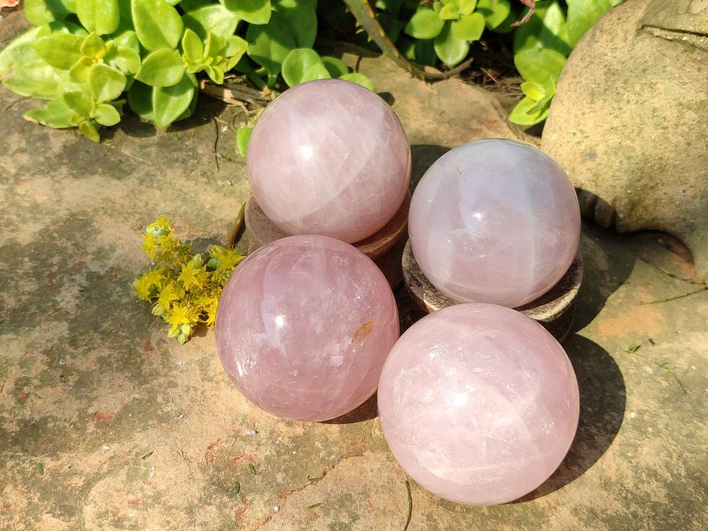 Polished Rose Quartz Spheres x 4 From Madagascar - Toprock Gemstones and Minerals 