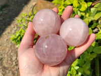 Polished Rose Quartz Spheres x 4 From Madagascar