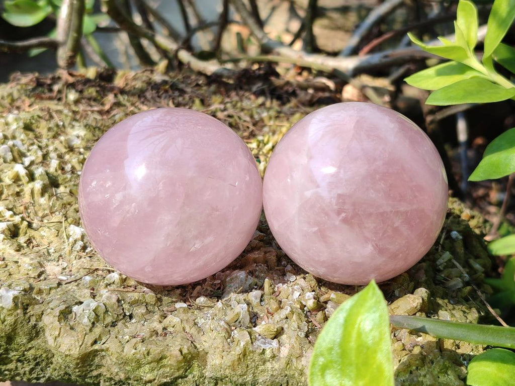 Polished Rose Quartz Spheres x 4 From Madagascar - Toprock Gemstones and Minerals 