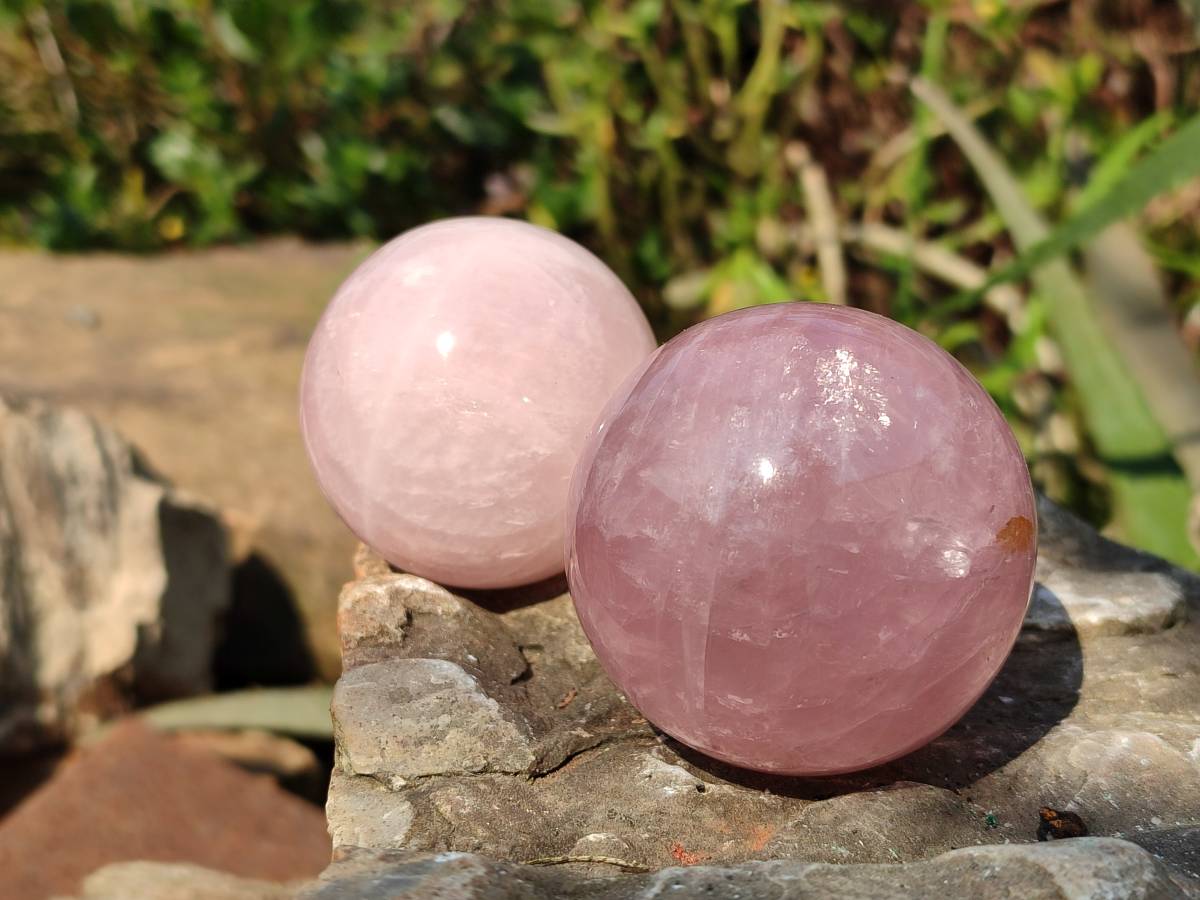 Polished Rose Quartz Spheres x 4 From Madagascar - Toprock Gemstones and Minerals 