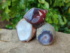 Polished On One Side Red Sashe River Agate Nodules x 24 From Zimbabwe - Toprock Gemstones and Minerals 