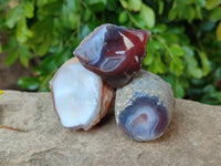 Polished On One Side Red Sashe River Agate Nodules x 24 From Zimbabwe