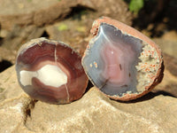 Polished On One Side Red Sashe River Agate Nodules x 24 From Zimbabwe