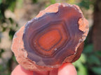 Polished On One Side Red Sashe River Agate Nodules x 24 From Zimbabwe - Toprock Gemstones and Minerals 