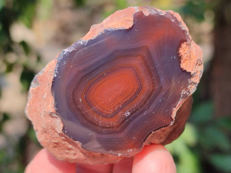 Polished On One Side Red Sashe River Agate Nodules x 24 From Zimbabwe - Toprock Gemstones and Minerals 