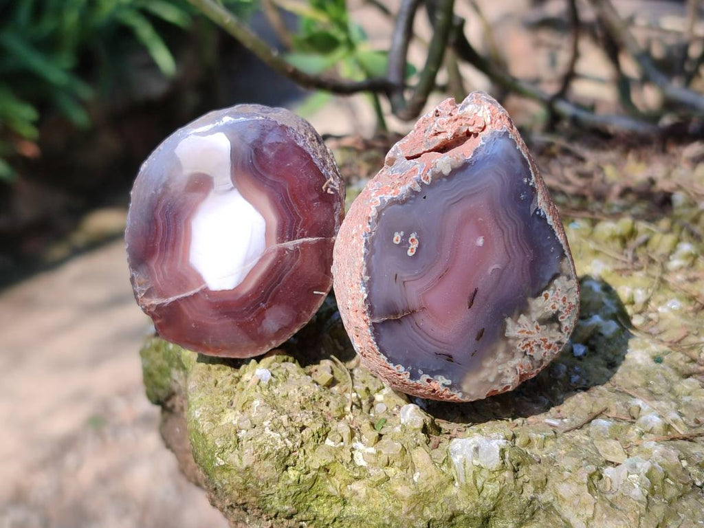 Polished On One Side Red Sashe River Agate Nodules x 24 From Zimbabwe - Toprock Gemstones and Minerals 