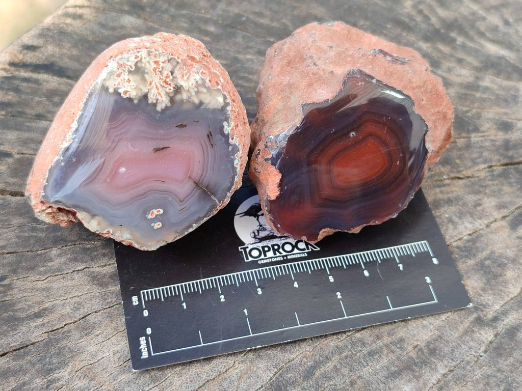 Polished On One Side Red Sashe River Agate Nodules x 24 From Zimbabwe - Toprock Gemstones and Minerals 