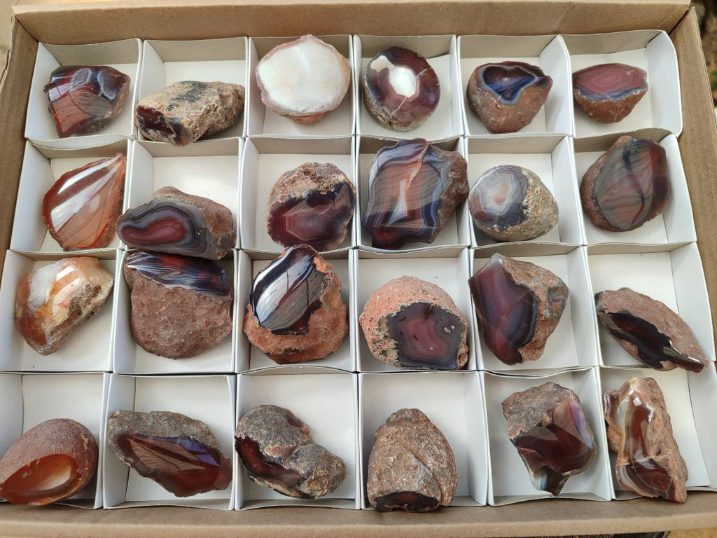Polished On One Side Red Sashe River Agate Nodules x 24 From Zimbabwe - Toprock Gemstones and Minerals 