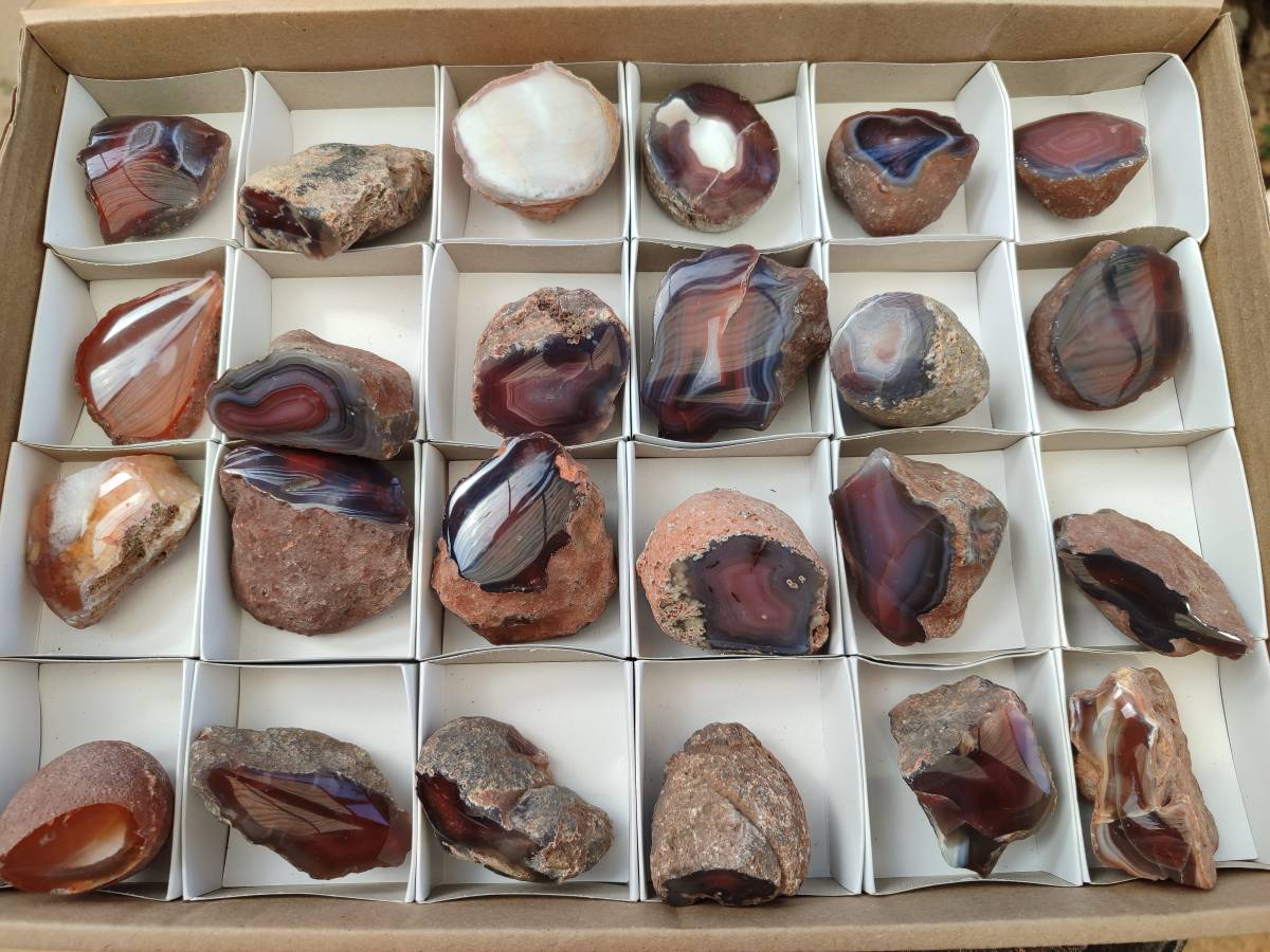Polished On One Side Red Sashe River Agate Nodules x 24 From Zimbabwe - Toprock Gemstones and Minerals 