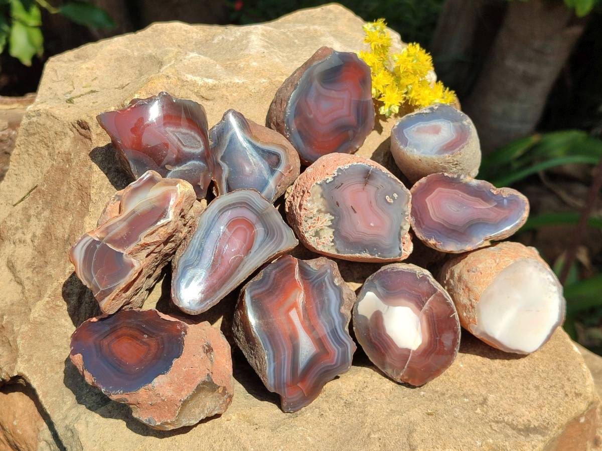 Polished On One Side Red Sashe River Agate Nodules x 24 From Zimbabwe - Toprock Gemstones and Minerals 
