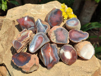 Polished On One Side Red Sashe River Agate Nodules x 24 From Zimbabwe
