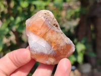 Polished On One Side Red Sashe River Agate Nodules x 24 From Zimbabwe