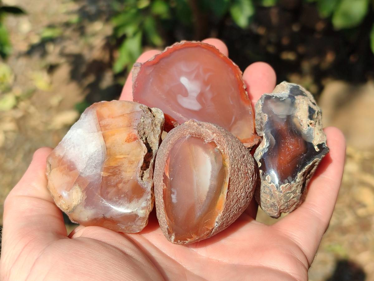 Polished On One Side Red Sashe River Agate Nodules x 24 From Zimbabwe - Toprock Gemstones and Minerals 