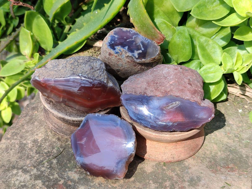 Polished On One Side Red Sashe River Agate Nodules x 24 From Zimbabwe - Toprock Gemstones and Minerals 