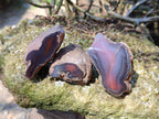Polished On One Side Red Sashe River Agate Nodules x 24 From Zimbabwe - Toprock Gemstones and Minerals 