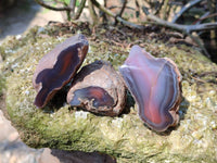 Polished On One Side Red Sashe River Agate Nodules x 24 From Zimbabwe
