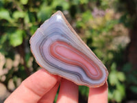 Polished On One Side Red Sashe River Agate Nodules x 24 From Zimbabwe