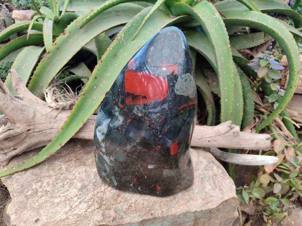 Polished Bloodstone Standing Free Form x 1 From Swaziland - Toprock Gemstones and Minerals 