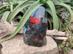 Polished Bloodstone Standing Free Form x 1 From Swaziland - Toprock Gemstones and Minerals 