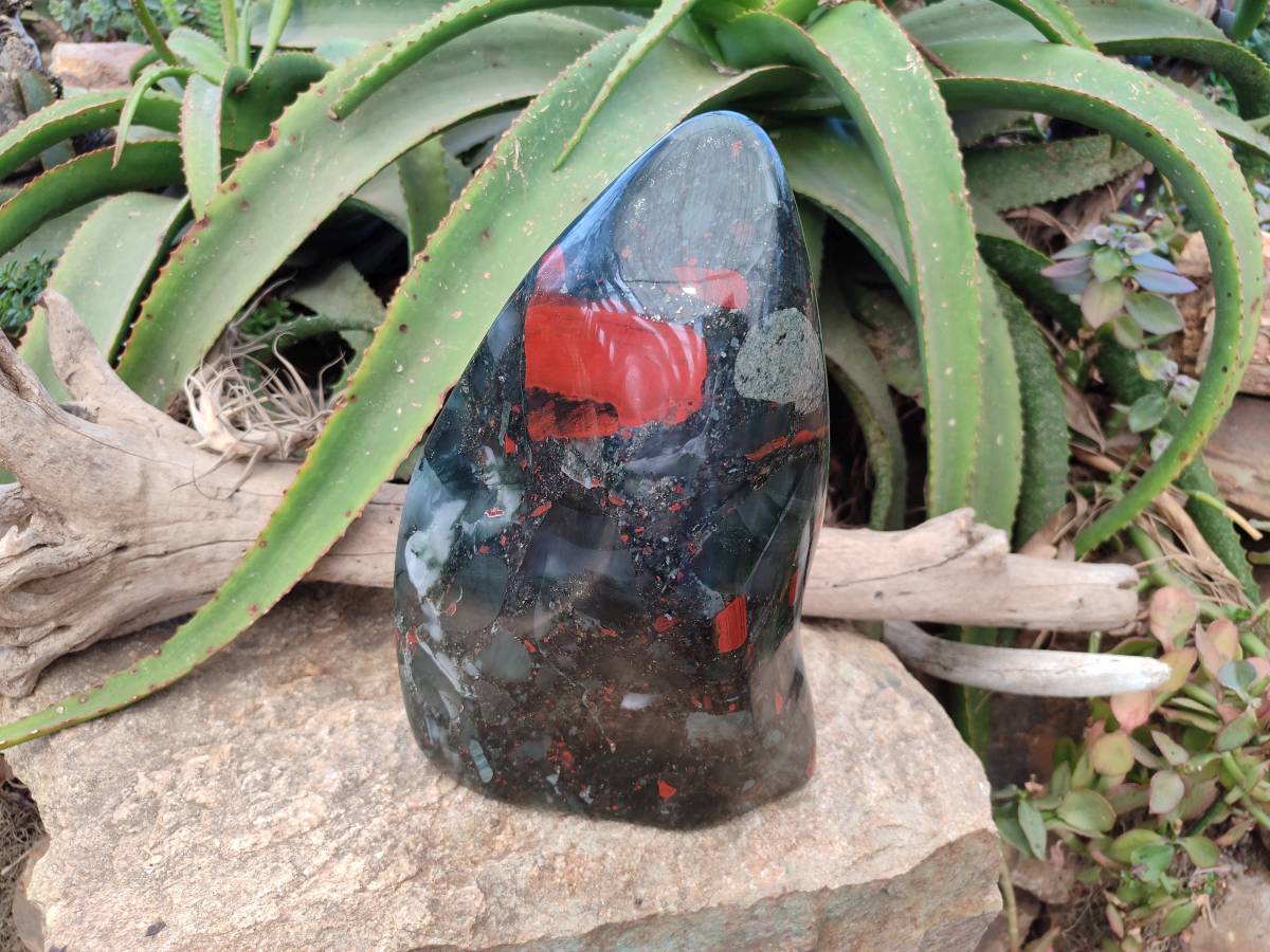 Polished Bloodstone Standing Free Form x 1 From Swaziland - Toprock Gemstones and Minerals 