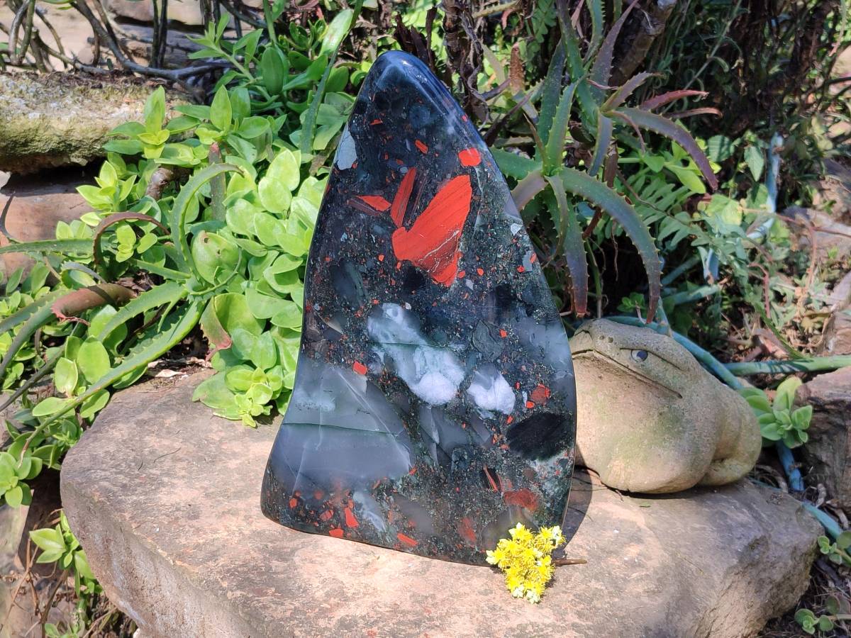 Polished Bloodstone Standing Free Form x 1 From Swaziland - Toprock Gemstones and Minerals 