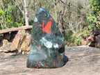 Polished Bloodstone Standing Free Form x 1 From Swaziland - Toprock Gemstones and Minerals 