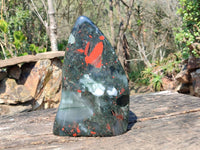Polished Bloodstone Standing Free Form x 1 From Swaziland