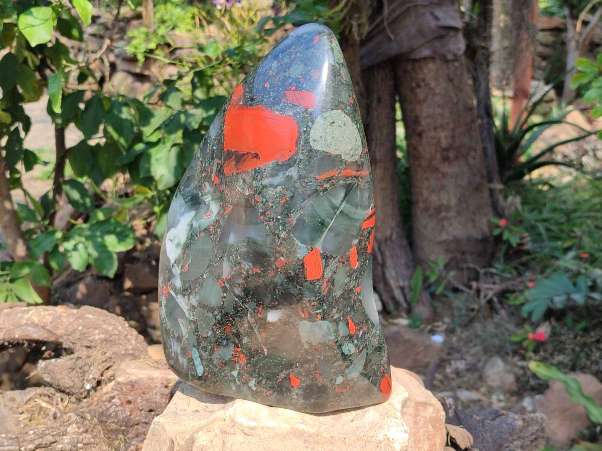 Polished Bloodstone Standing Free Form x 1 From Swaziland - Toprock Gemstones and Minerals 