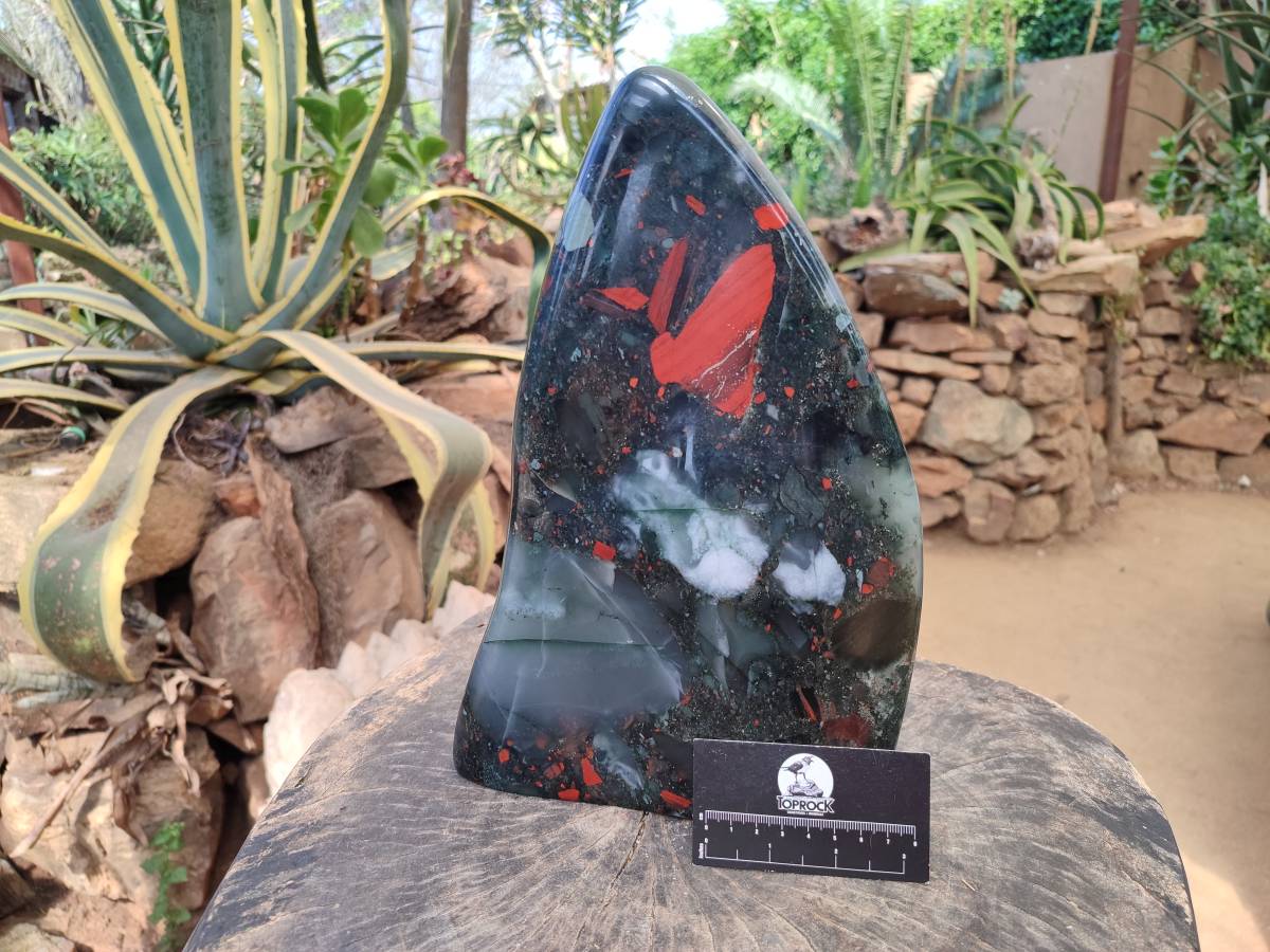 Polished Bloodstone Standing Free Form x 1 From Swaziland - Toprock Gemstones and Minerals 