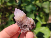 Natural Amethyst Spirit Quartz Crystals x 20 From South Africa