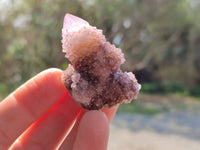 Natural Amethyst Spirit Quartz Crystals x 20 From South Africa