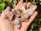 Natural Amethyst Spirit Quartz Crystals x 20 From South Africa - Toprock Gemstones and Minerals 