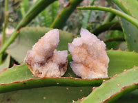 Natural Amethyst Spirit Quartz Crystals x 20 From South Africa