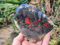 Polished Bloodstone Standing Free Forms x 2 From Swaziland