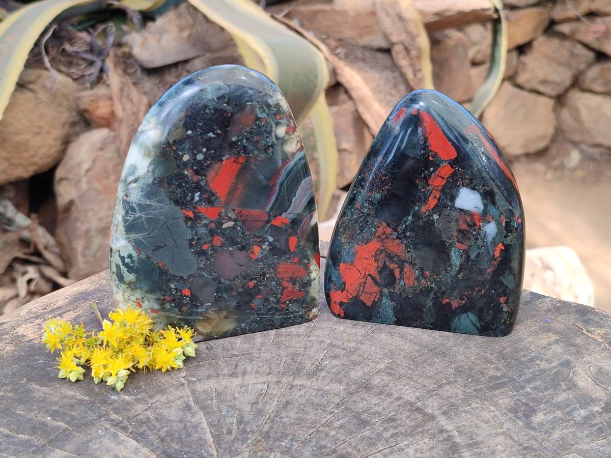 Polished Bloodstone Standing Free Forms x 2 From Swaziland - Toprock Gemstones and Minerals 