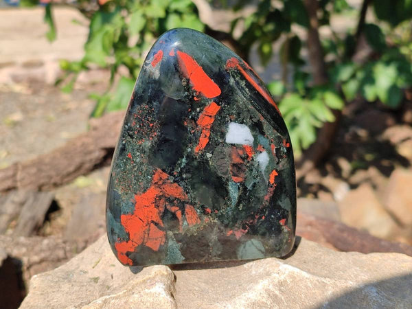 Polished Bloodstone Standing Free Forms x 2 From Swaziland