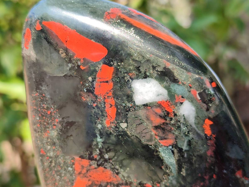 Polished Bloodstone Standing Free Forms x 2 From Swaziland - Toprock Gemstones and Minerals 
